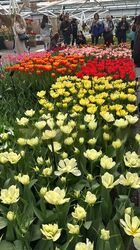 The Claymore (D9), Condominium #447935191